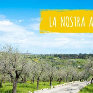 Azienda agricola siciliana Bio Agricola Ciccone