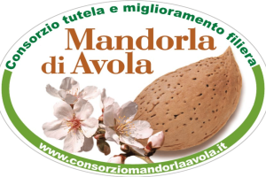 logo Consorzio Alta Definizione(1).pdf (1) logo Consorzio Alta Definizione(1).pdf (1)
